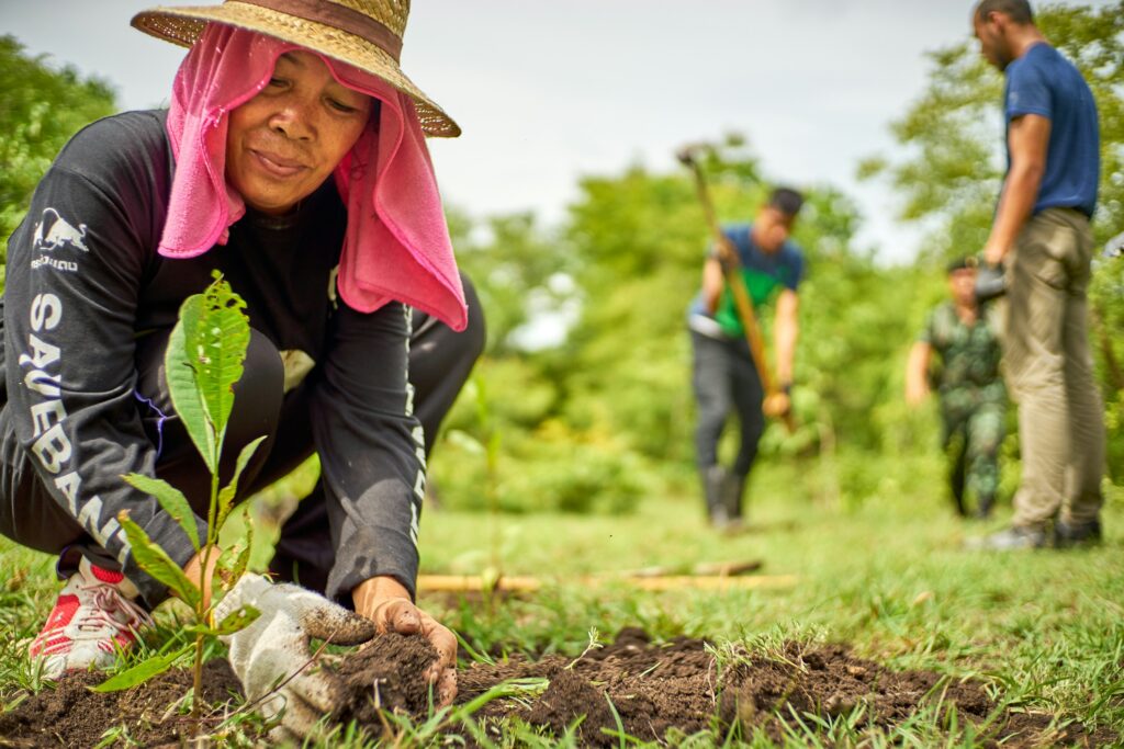 Educación ambiental: el primer paso para construir un futuro sostenible