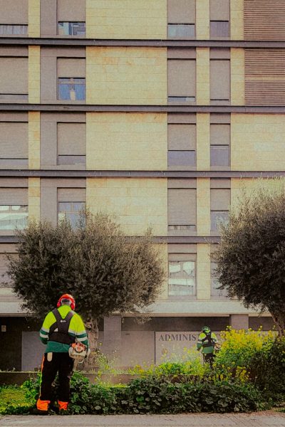 pexels-altamar-22601839